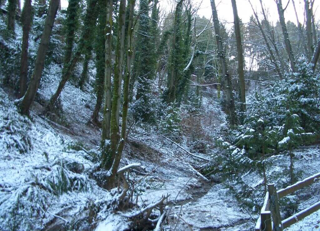 A rare snow day in Interlaken Park / Wikipedia / User:Vmenkov 
Link: https://en.wikipedia.org/wiki/Interlaken_Park_(Seattle)#/media/File:Interlaken-Park-snow-2897.jpg