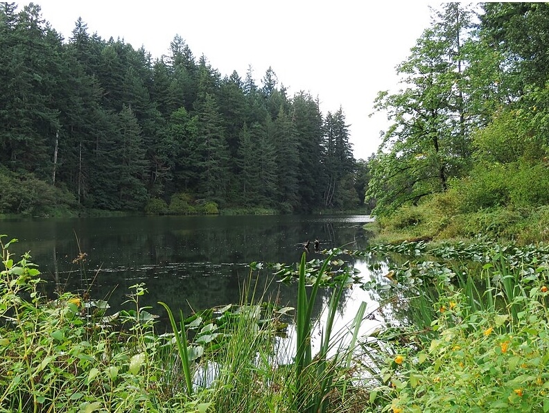 Fallen Leaf Lake / Wikimedia Commons / BriarCraft
https://commons.wikimedia.org/wiki/File:Fallen_Leaf_Lake_%282019-09-10%29.jpg