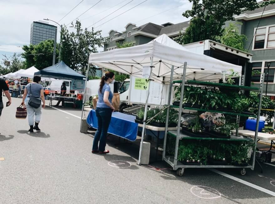 University District Farmers Market / Flickr / Niki Seligman
Link: https://www.flickr.com/photos/sdot_photos/49883515471/in/photolist-2j134ez-2j14Cfd-2j14C46-2j14C6W-2j14C5J-2j134Ag-2j14BP3-2iZZmg8-2j14BSe-2j134in-2j134nf-2j134qr-fPxGqz-2iZZmyN-2j134Cv-2j14Chx-2o2G4DB-2mhkGS4-2mg4v4B-2mg8etV-2mg8eoj-2j134p4-2j134Fw-2j134Dx-2mfYTfr-xfNhzb-3abvD-2mg54Ub-2mg8esY-2kKgbTA-xejXs7-2gB4djq-2ma5KX5-2kKgbKV-xuHF6w-2mfZMuZ-2mfUrp7-2mfUKZZ-2mg34qy-fPxNm2-2kKgbyn-2kKgbxa-2gB4e9G-2mfYTfb-2kKgGx1-2kKgbH5-2kKcsiZ-2kKgbzu-2nzHVmU-2bjAjP4